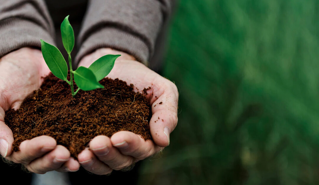 Tri-or vous donne du compost