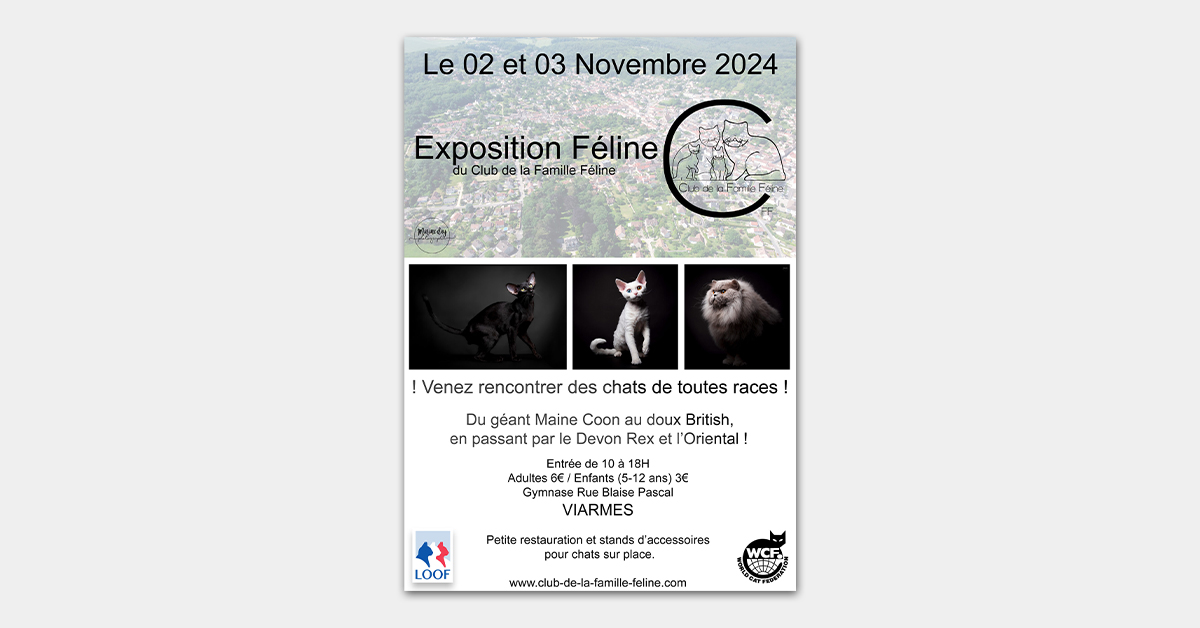 Exposition féline