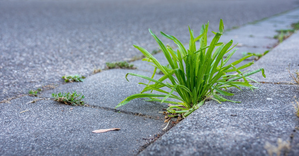 Entretien des trottoirs