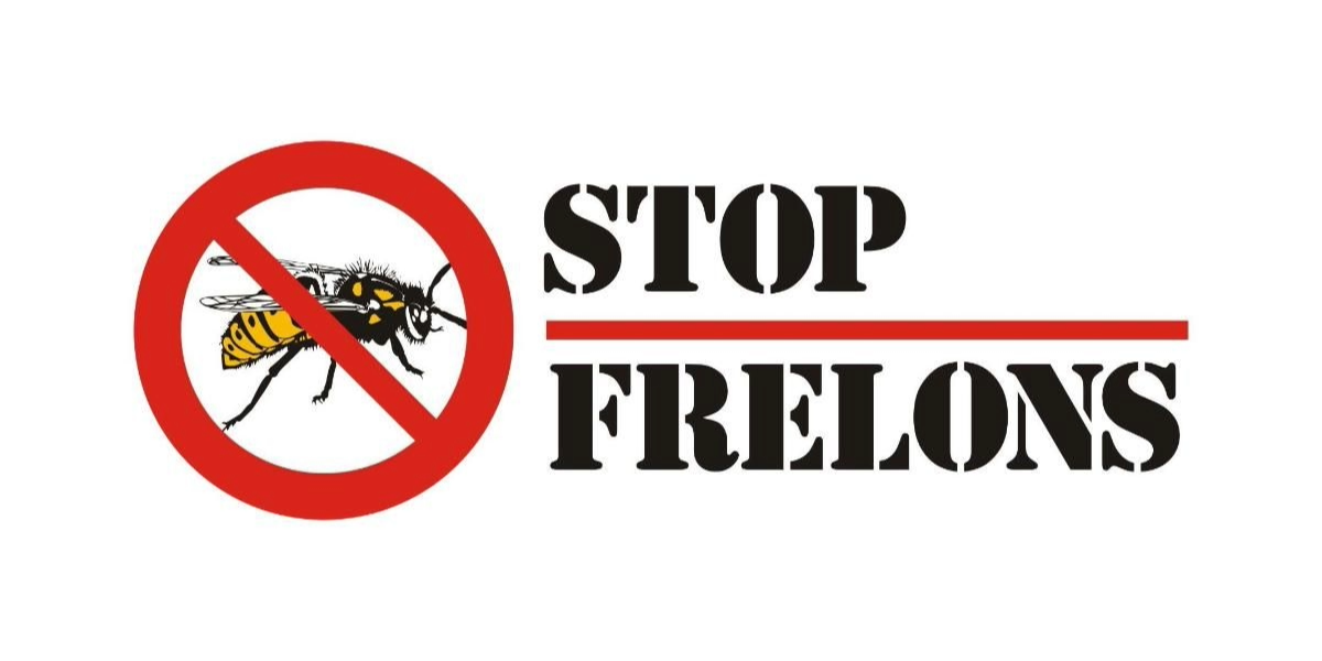 Éradication des nids de frelons