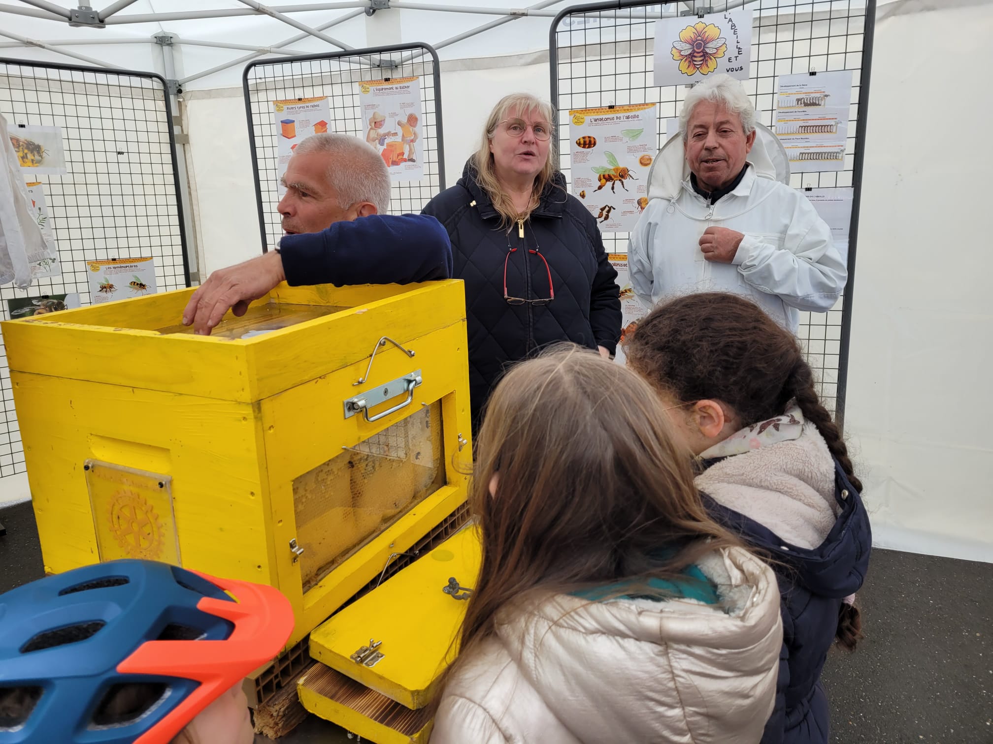 Atelier ruche pédagogique : retour en images