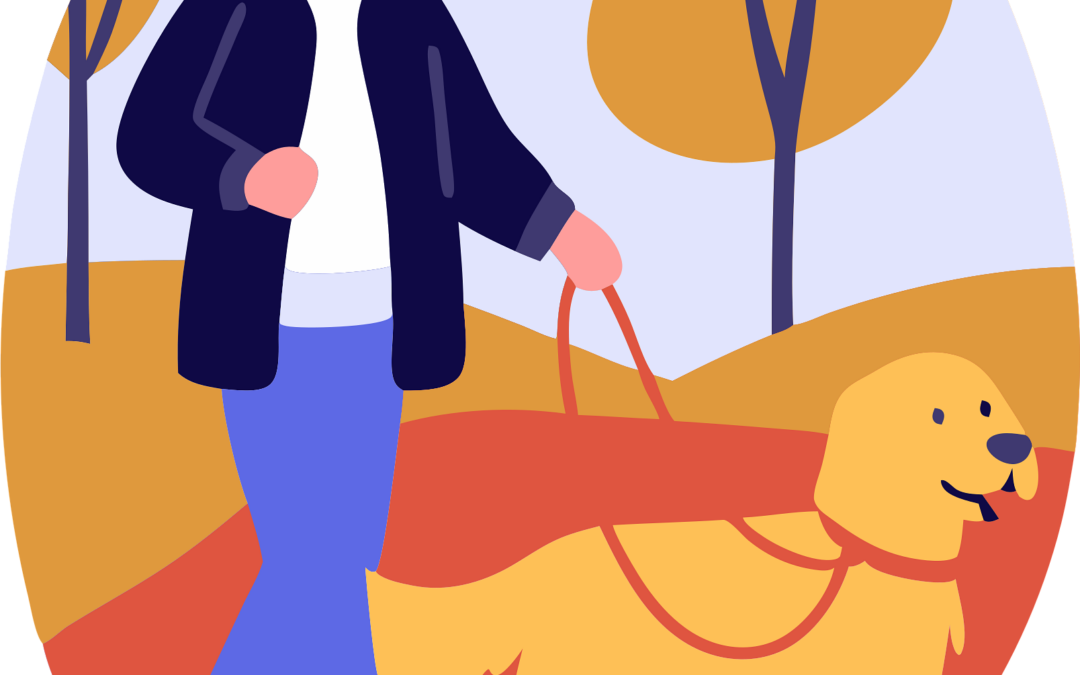 Chiens : interdiction de divaguer