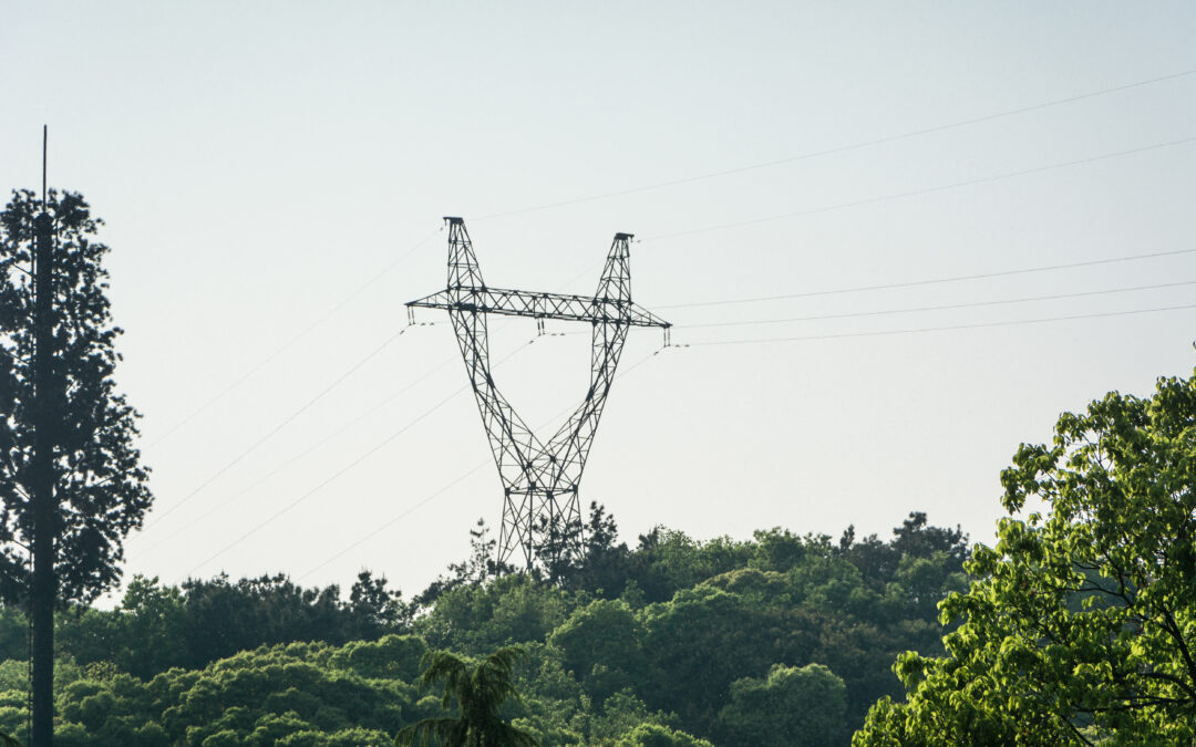 Entretien des lignes électriques