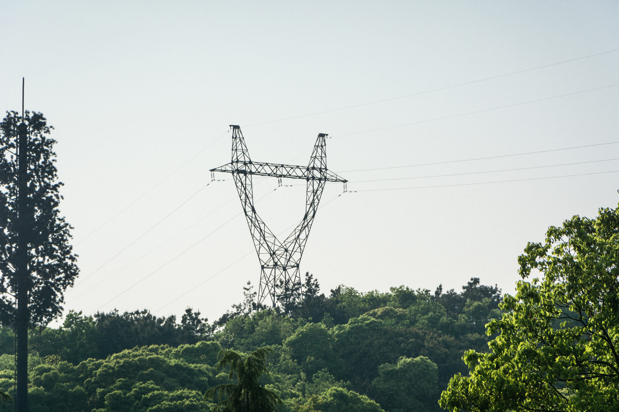 Entretien des lignes électriques