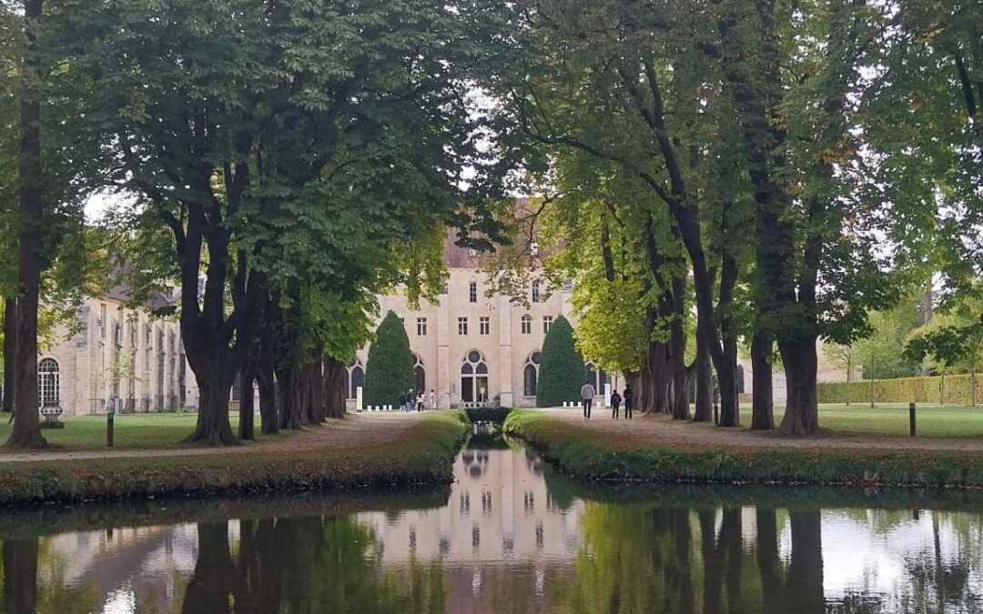 Journées européennes du patrimoine : retour en images